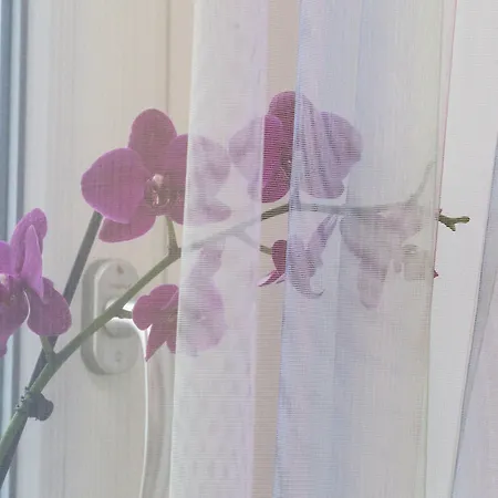 Гостевой дом St. Peter Area Luxury 4*